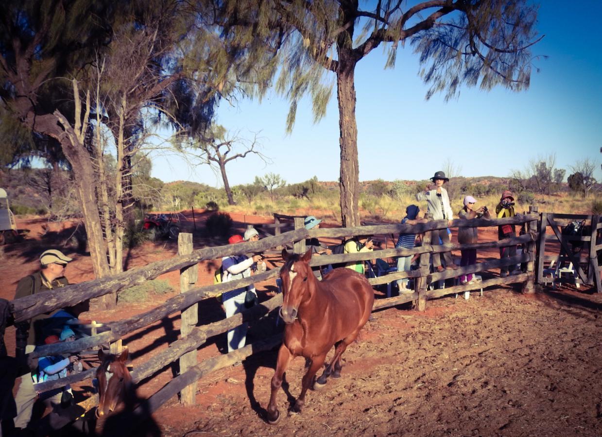 Ooraminna Homestead Alice Springs Exterior photo