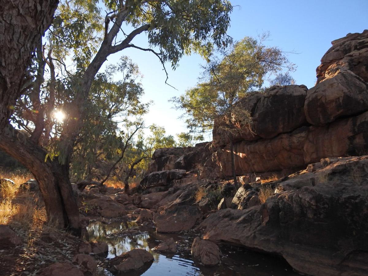 Ooraminna Homestead Alice Springs Exterior photo